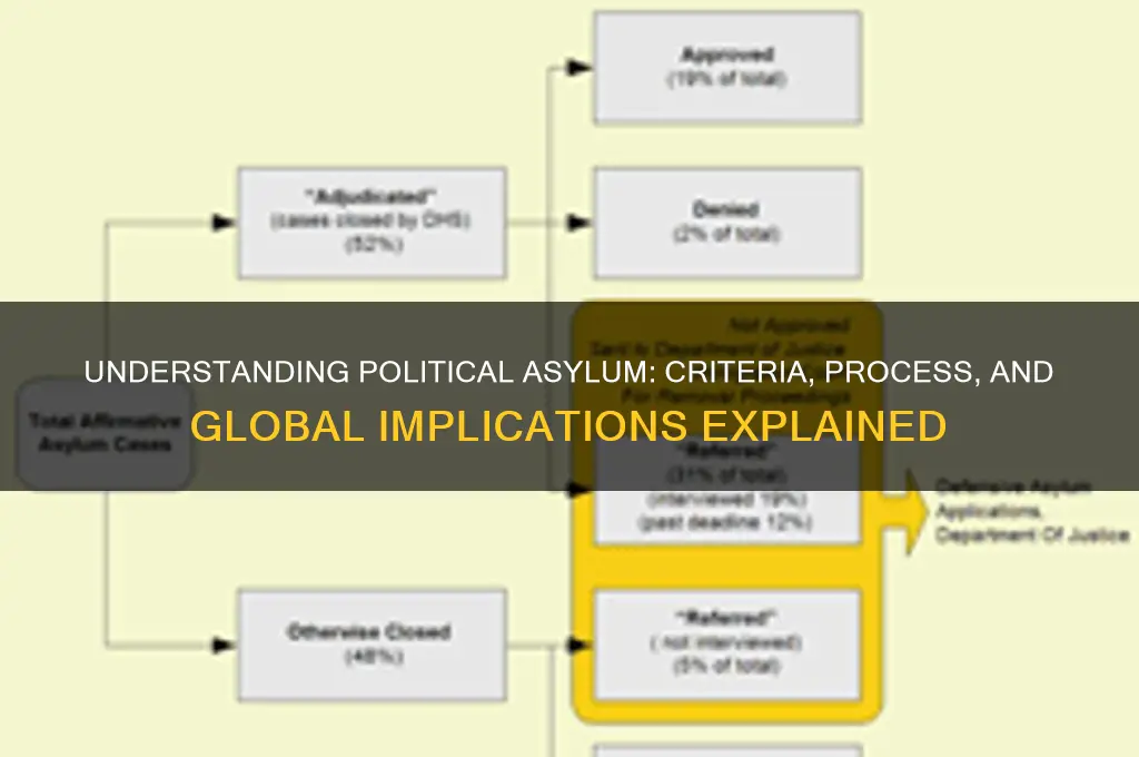 what is considered political asylum