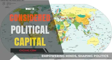 Understanding Political Capital: Definition, Value, and Strategic Use in Politics