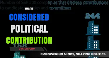Understanding Political Contributions: Definitions, Types, and Legal Boundaries