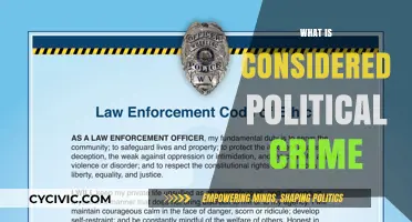 Understanding Political Crime: Definitions, Examples, and Legal Implications