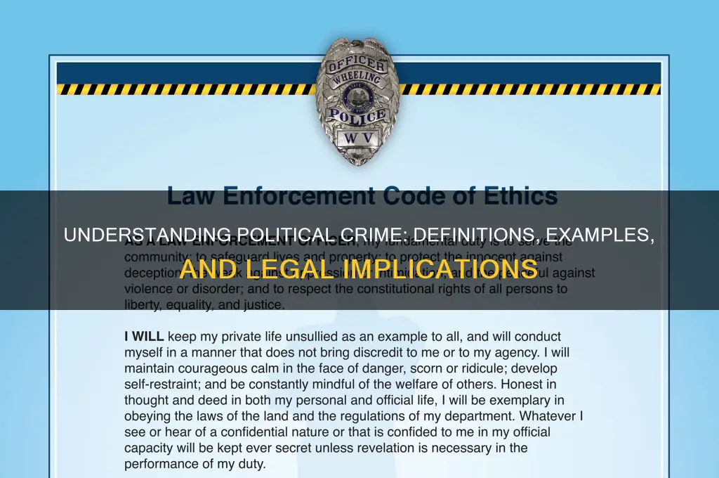 what is considered political crime