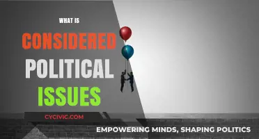 Understanding Political Issues: Defining Key Topics and Their Impact