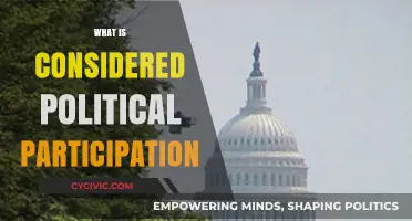 Understanding Political Participation: Forms, Importance, and Civic Engagement Explained