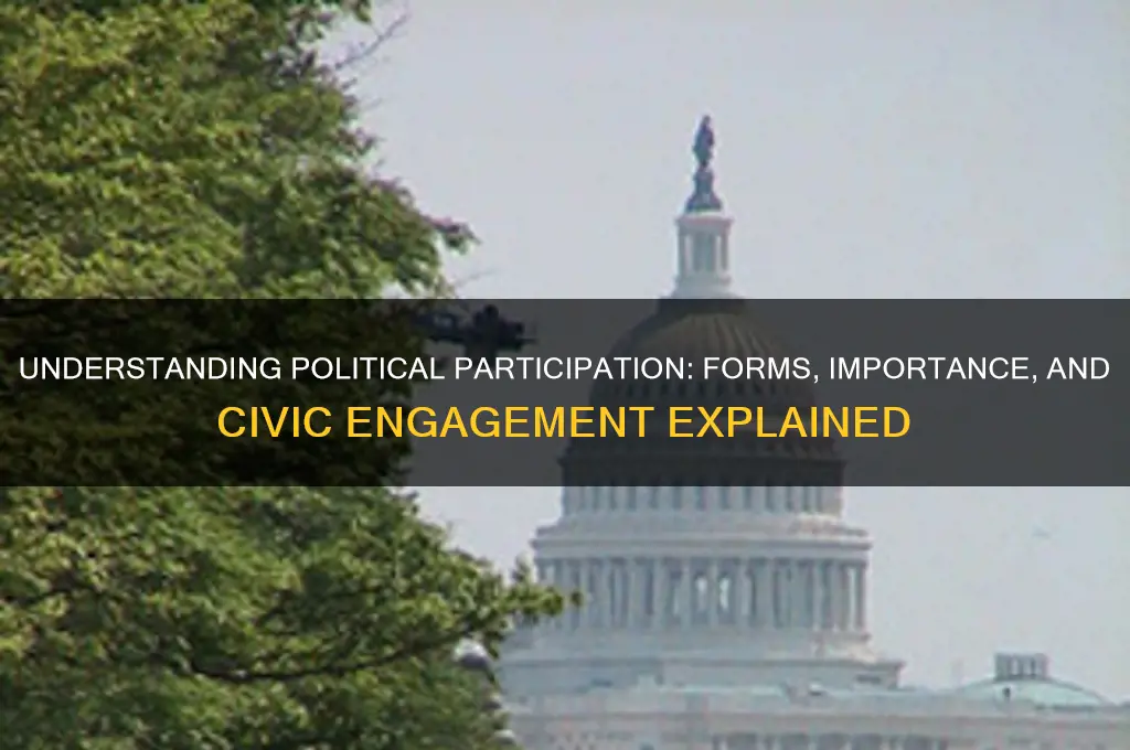 what is considered political participation