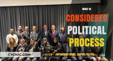 Understanding the Political Process: Key Components and Their Impact