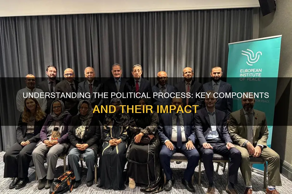 what is considered political process