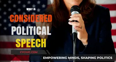 Understanding Political Speech: Definitions, Boundaries, and Legal Implications