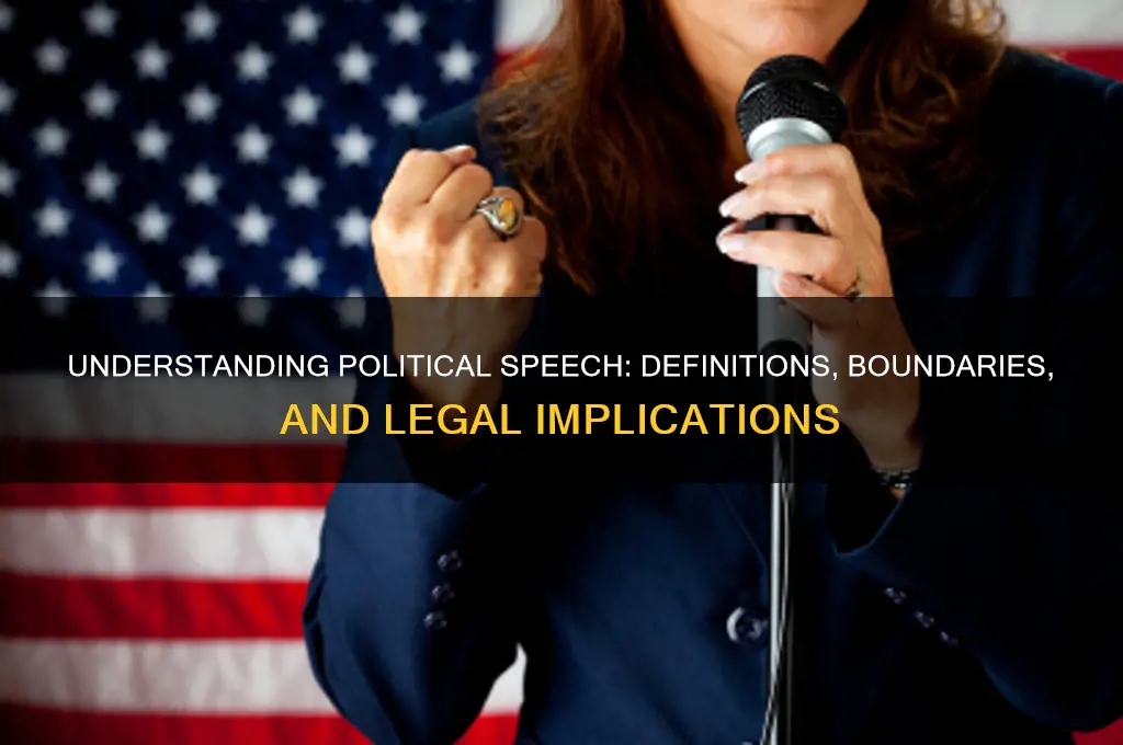 what is considered political speech