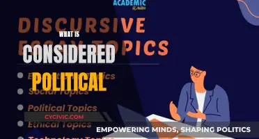 Politics: Defining the Boundaries of What's Considered Political