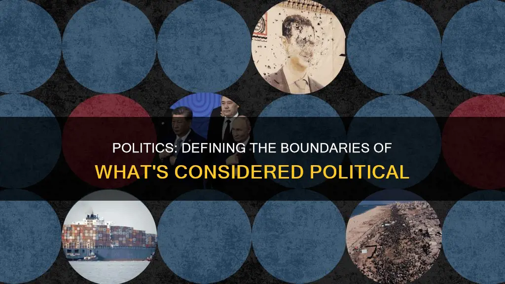 what is considered political