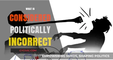 Understanding Political Incorrectness: Navigating Sensitive Topics and Social Norms