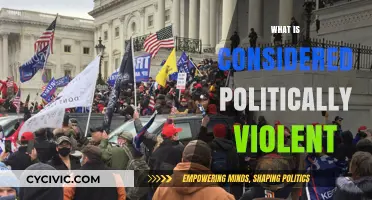 Understanding Political Violence: Definitions, Boundaries, and Global Perspectives