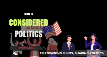 Understanding Politics: Definitions, Scope, and Real-World Implications Explained