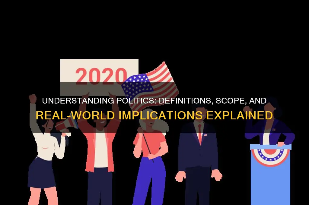 what is considered politics