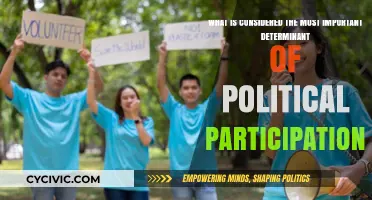 Unlocking Civic Engagement: The Key Determinant of Political Participation