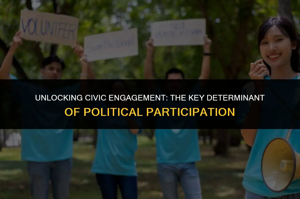 what is considered the most important determinant of political participation