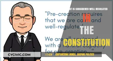 Well-Regulated and the Constitution: What's the True Meaning?