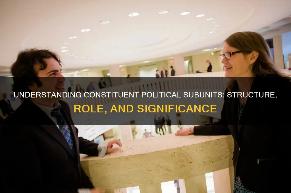 what is constituent political subunits