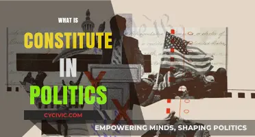 Understanding the Role and Impact of Constitutions in Political Systems