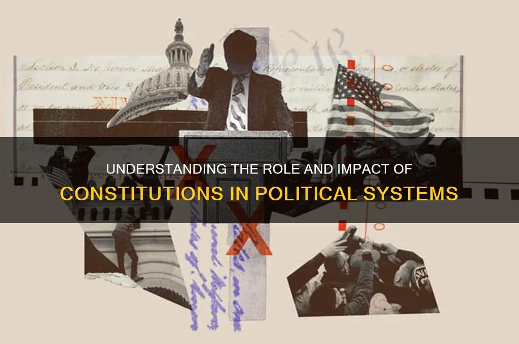 what is constitute in politics