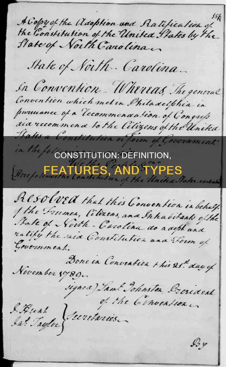 what is constitution explain its features and types