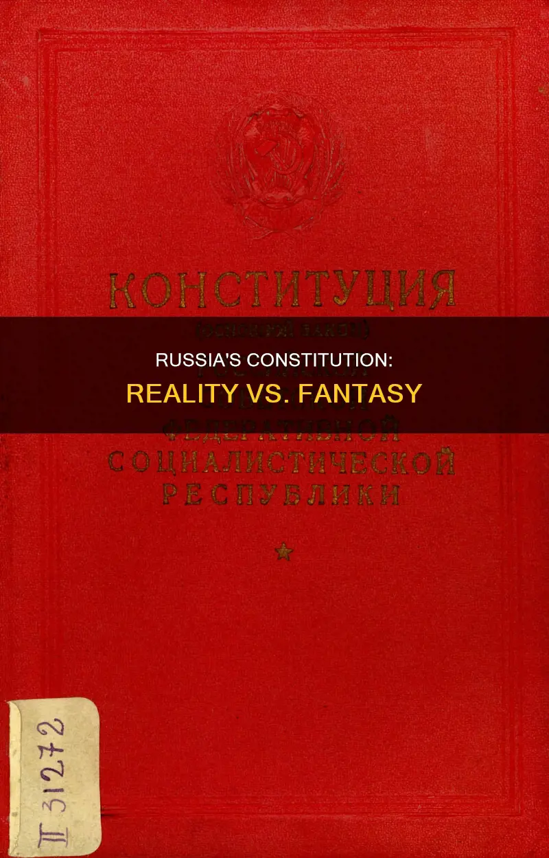 what is constitution for russia vs real life