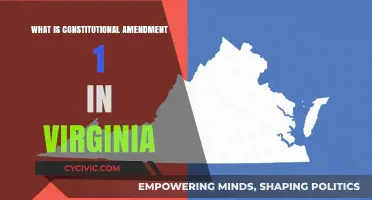 Understanding Virginia's Constitutional Amendment 1