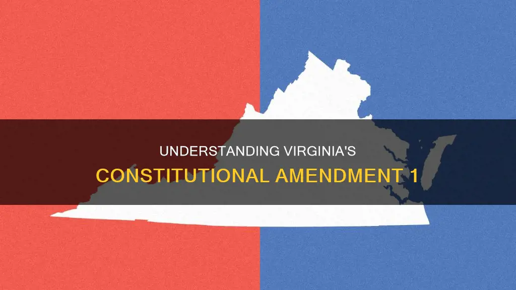 what is constitutional amendment 1 in virginia