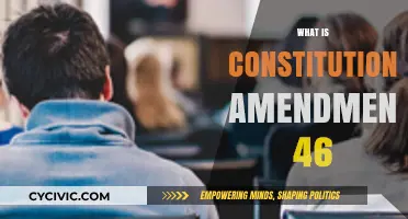 Understanding Constitutional Amendment: The 46th Amendment Explained