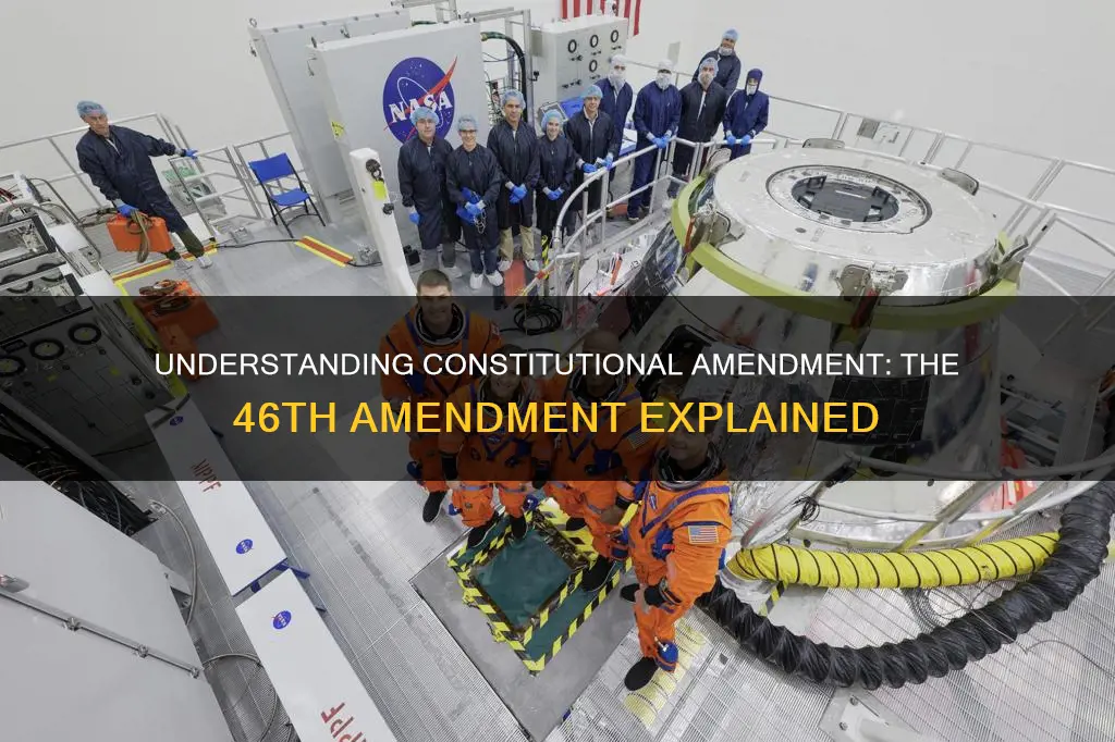 what is constitutional amendment 46