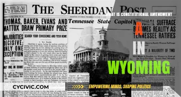 Wyoming's Constitutional Amendment A: What It Means