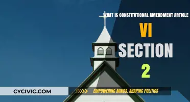 Understanding the Constitution: VI.2
