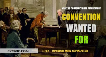 Amending the Constitution: What's the Convention For?