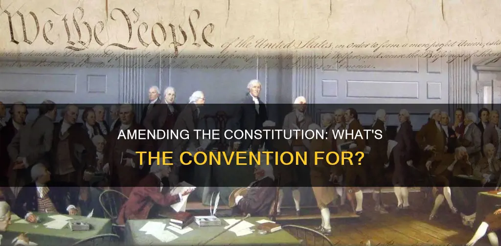what is constitutional amendment convention wanted for