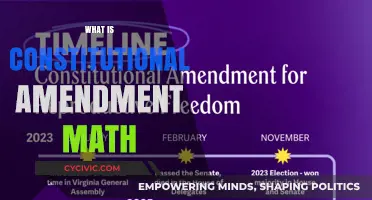Amending the Constitution: Math and Democracy