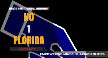 Florida's Constitution: Amendment 1 Explained