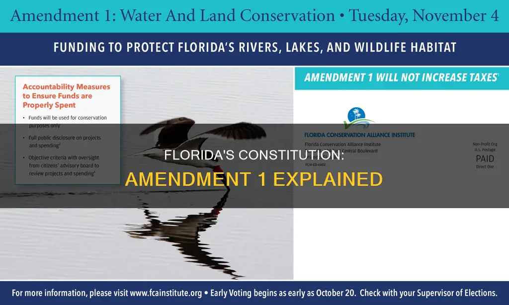 what is constitutional amendment no 1 florida
