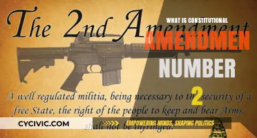 Amending the Constitution: Understanding the Second Amendment