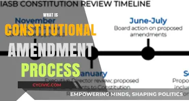 Amending the Constitution: A Complex Process