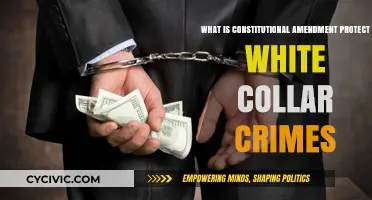 White-Collar Crimes: Constitutional Amendments' Impact