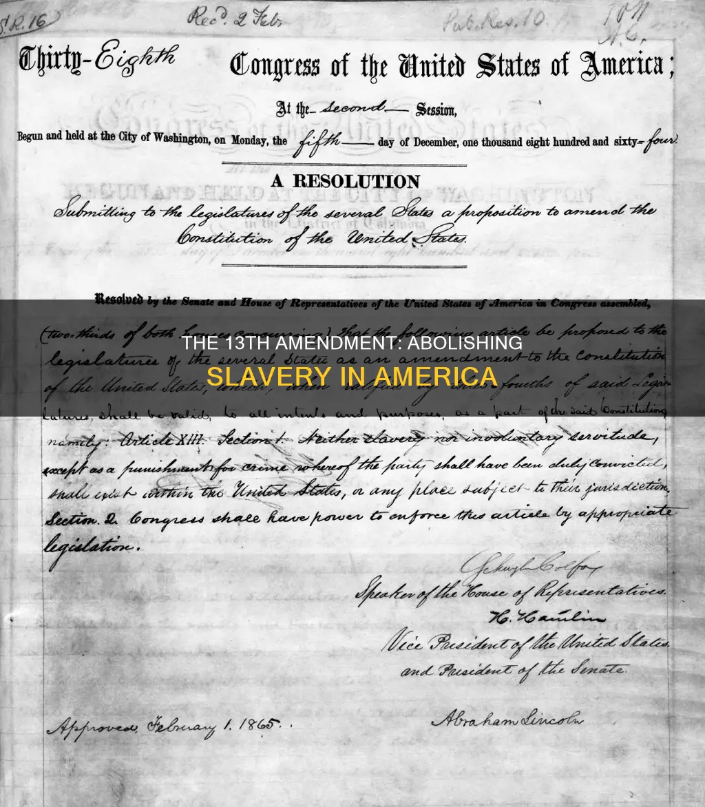 what is constitutional amendment that officially ended slavery