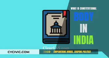 Understanding India's Constitutional Bodies: Definition and Significance