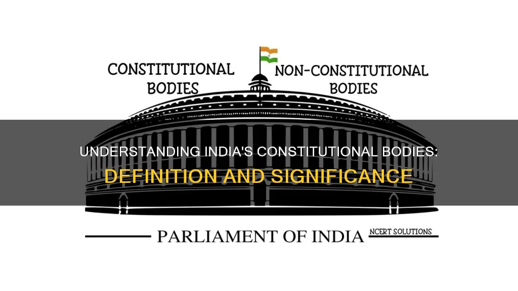 what is constitutional body in india