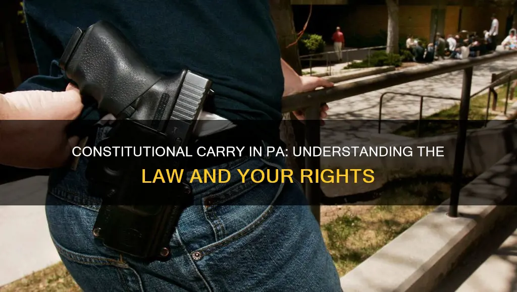 what is constitutional carry in pa