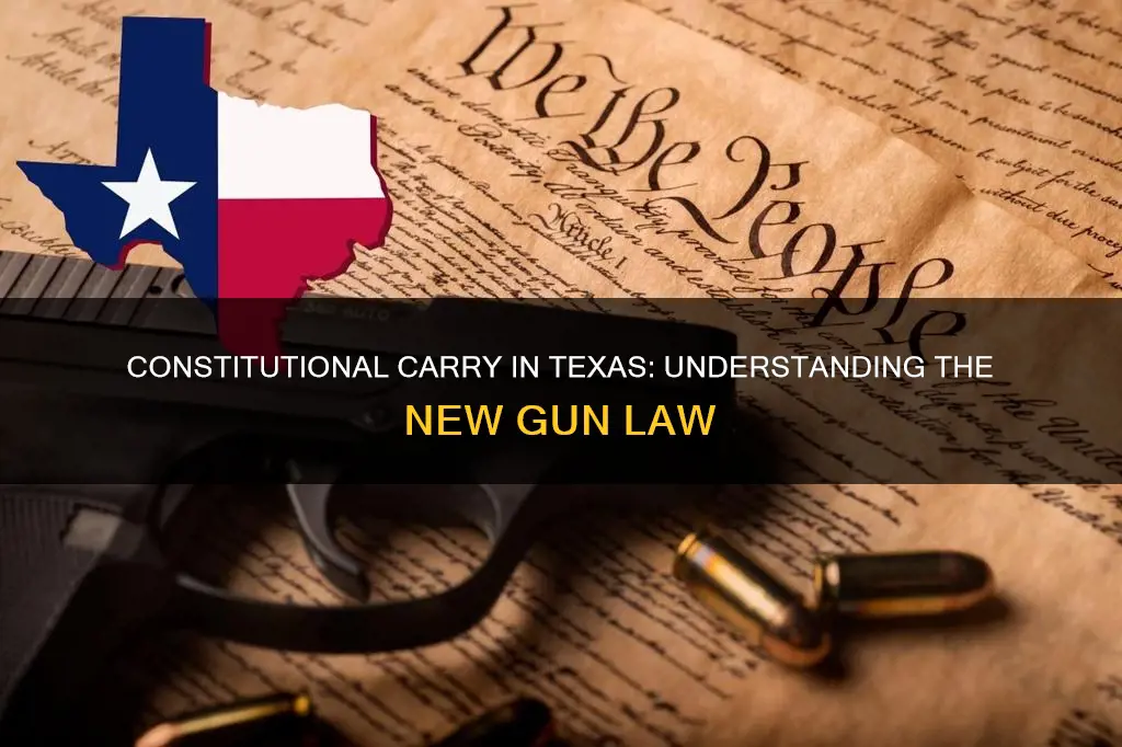 what is constitutional carry in texas