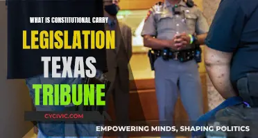 Texas Constitutional Carry: Understanding the New Legislation
