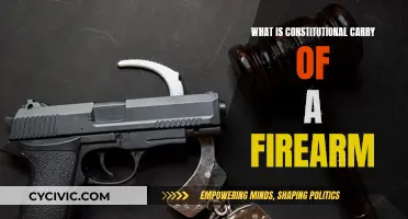 Firearm Freedom: Constitutional Carry Explained