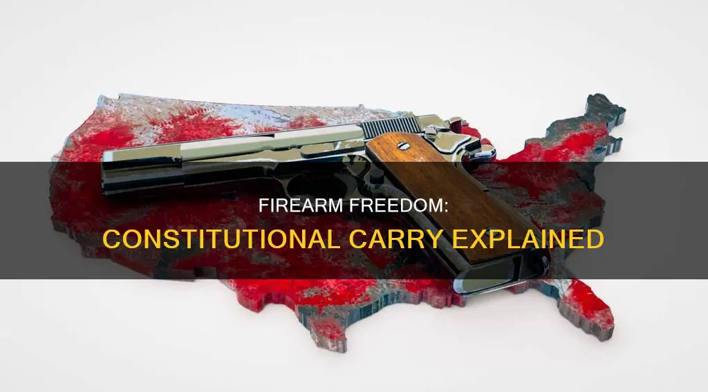 what is constitutional carry of a firearm