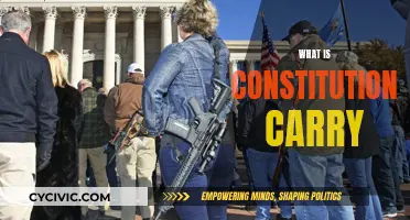 Constitutional Carry: Understanding Your Right to Bear Arms