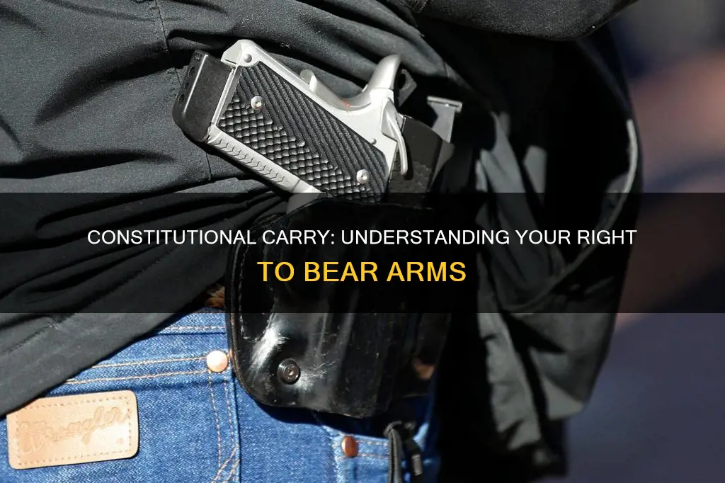 what is constitutional carry